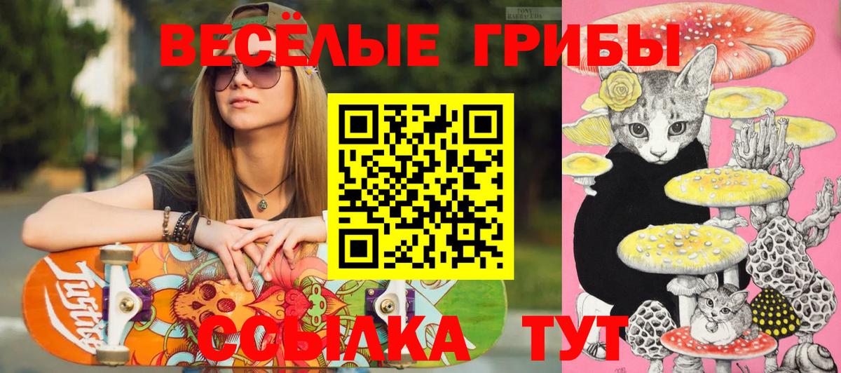 Псилоцибиновые грибы GOLDEN TEACHER  Псилоцибиновые грибы мицелий  Вход с VPN  Ростов-на-Дону 